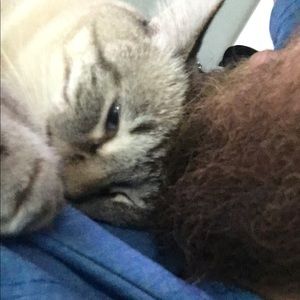 Meet your Posher, Taylor